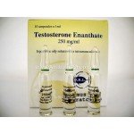 Testosterone Enanthate Primus Ray Laboratories Testosterone Enanthate Primus Ray Laboratories